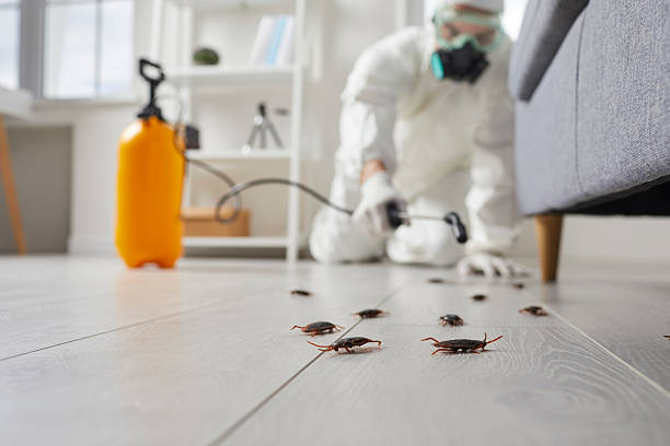 Commercial Kitchen Cockroach Control in Tishomingo